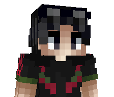 583w's skin