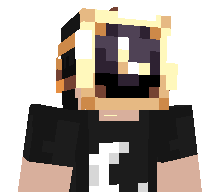 NotDestroyet's skin