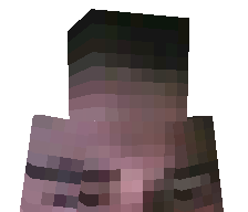 x66v's skin