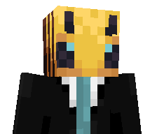 DR1V3R1337's skin