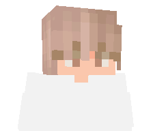 VanTageeee's skin