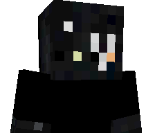 dtbvndz's skin
