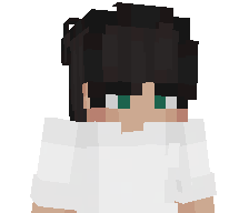 szocikkk's skin