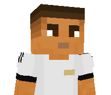 niko3p's skin