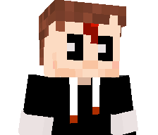 Holix_Chinese's skin