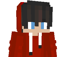 Ninjagamezz's skin