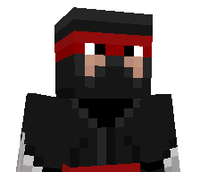Ninja_Inv's skin