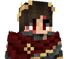 VoxelFr's skin