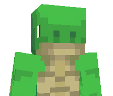 Solid_turtell's skin