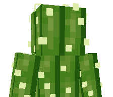 CactusJT's skin