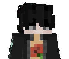 dsklf's skin