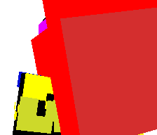 nicolarret's skin