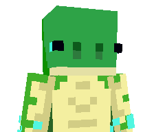 _Turt1le's skin