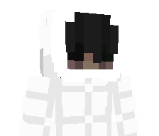 H83V's skin
