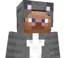 Rajasthan_10_'s skin