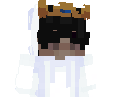Patison881's skin