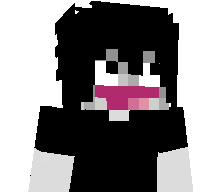 EZR132's skin