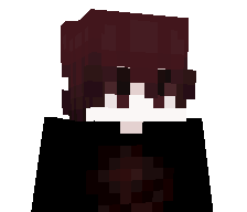 1337w's skin