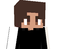 zArminzz's skin