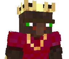 NINJAPR22's skin