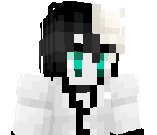 WsForNick's skin