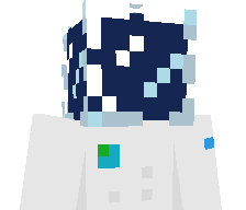 Garlicnaut's skin