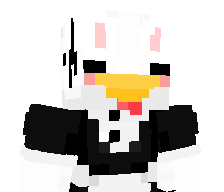 DumbFoundedDuck's skin