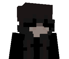8134's skin