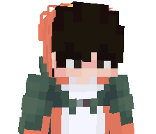 LaterFied's skin
