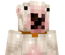 Desconectoh's skin