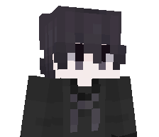 Hwnss's skin