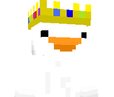 PolarrZz's skin