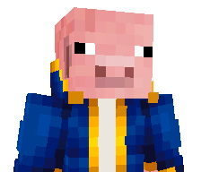 Niko2k12's skin