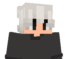 P01TT's skin