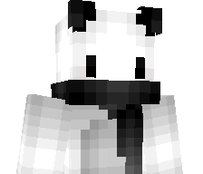 Panda_gris's skin