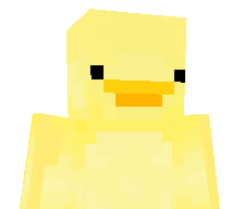 Iecture's skin