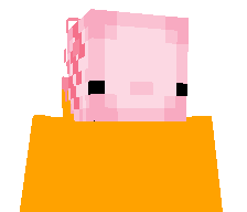 Axo_player's skin