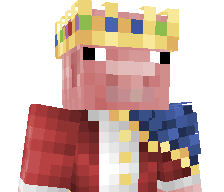 Ninjacritic20's skin