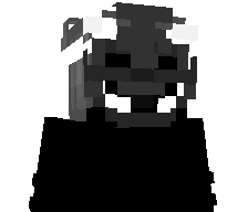 966d's skin