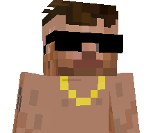 MiDNAD's skin