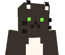 mMiror's skin