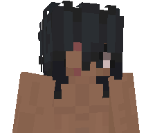 z4p's skin