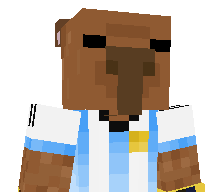 Wirq1_'s skin