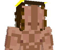 wl1y's skin