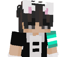 _LowTier's skin