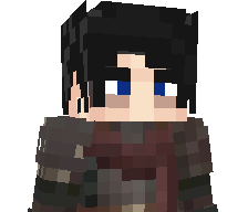 DirectBlizzard's skin