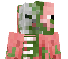 ArtyLord's skin
