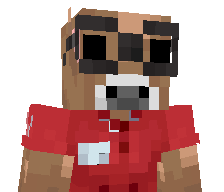 worryultra's skin