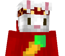 qSox_'s skin