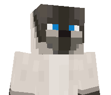 Qxestion's skin